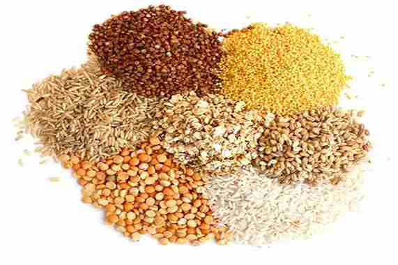 تصویر 4 از خرید خوراک ماهی زینتی + قیمت فروش استثنایی